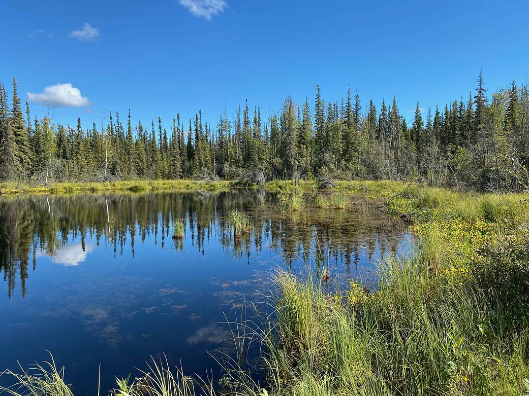 NASA ABoVE Team Studies Thawing Permafrost, Lakes
