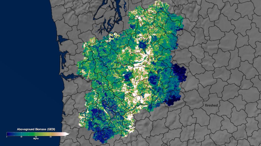 NASA Teams with Forest Service to Tally America’s Oldest Trees 