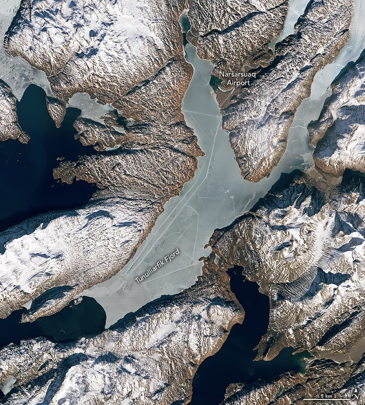 Curious Tracks Across an Icy Fjord 
