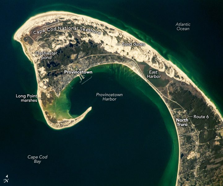 Cape Cod’s Famous Hook 