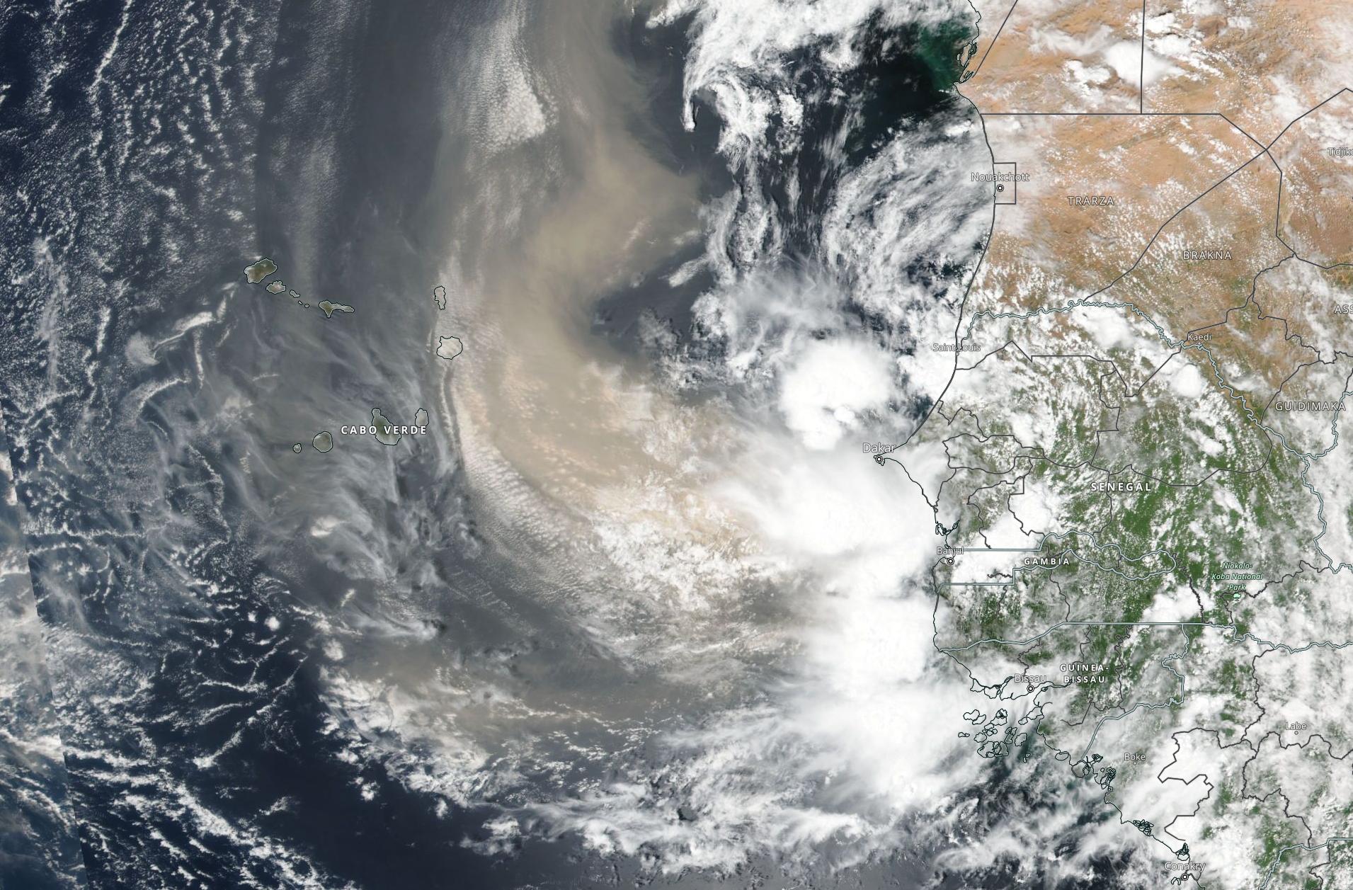 In Dust and Clouds Over Africa, Scientists Find Clues to How Hurricanes Form 