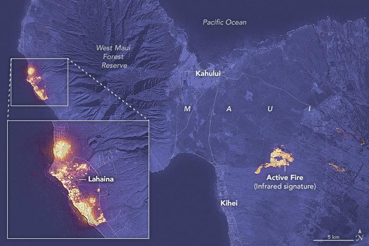 Devastation in Maui 