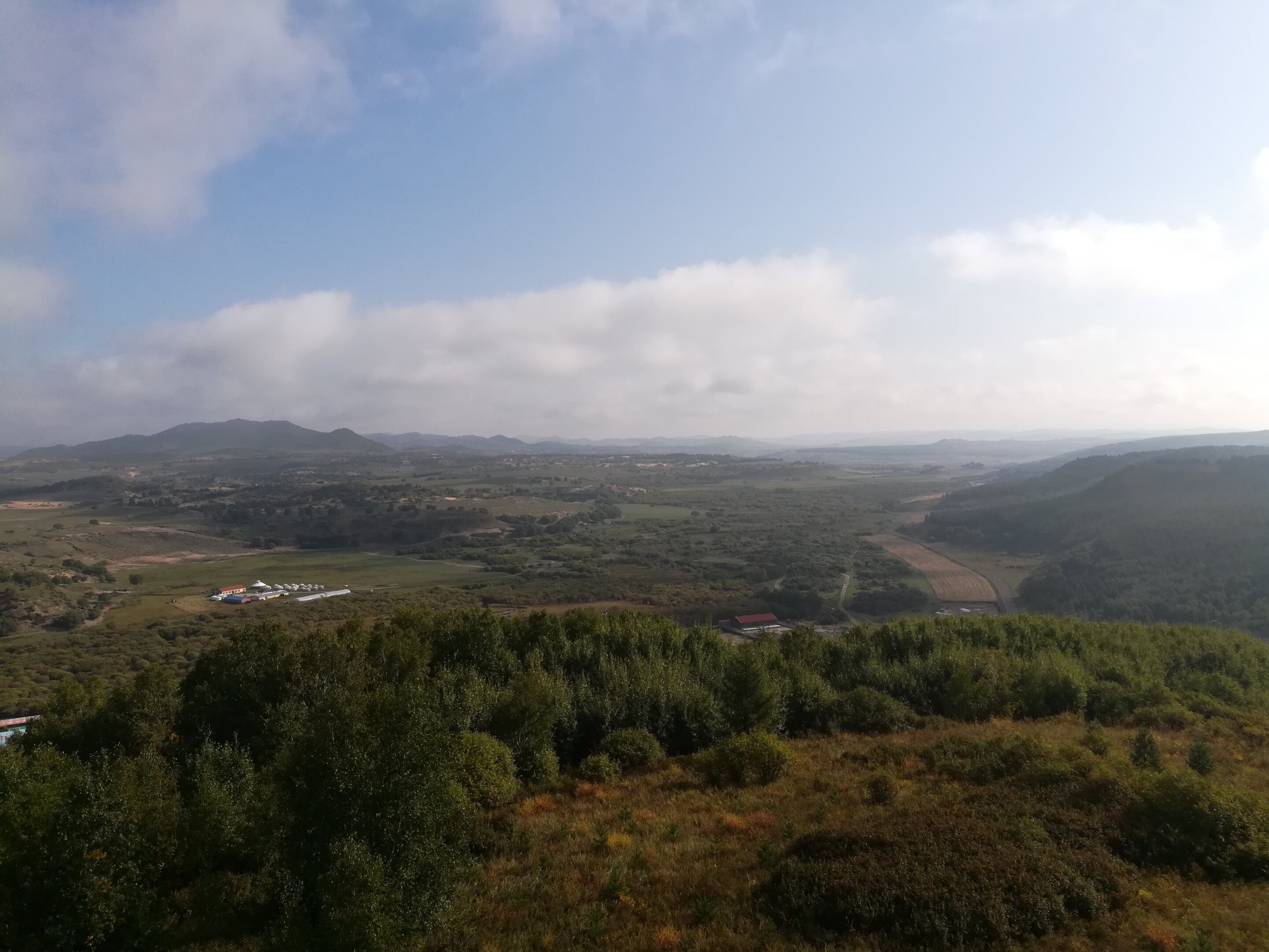 Study Improves Accuracy of Planted Forest Locations in East Asia 