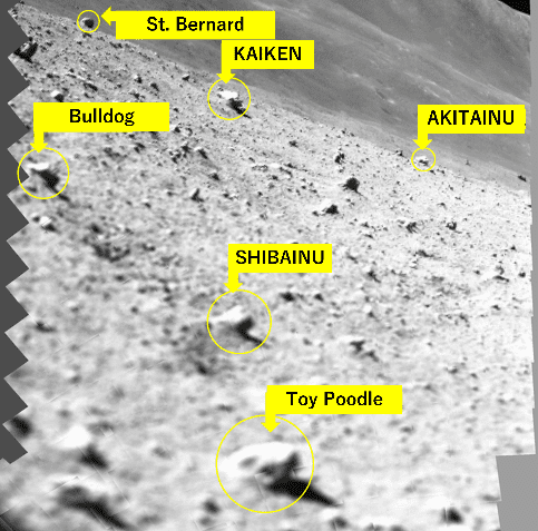 Images Taken by JAXA’s Smart Lander for Investigating Moon 