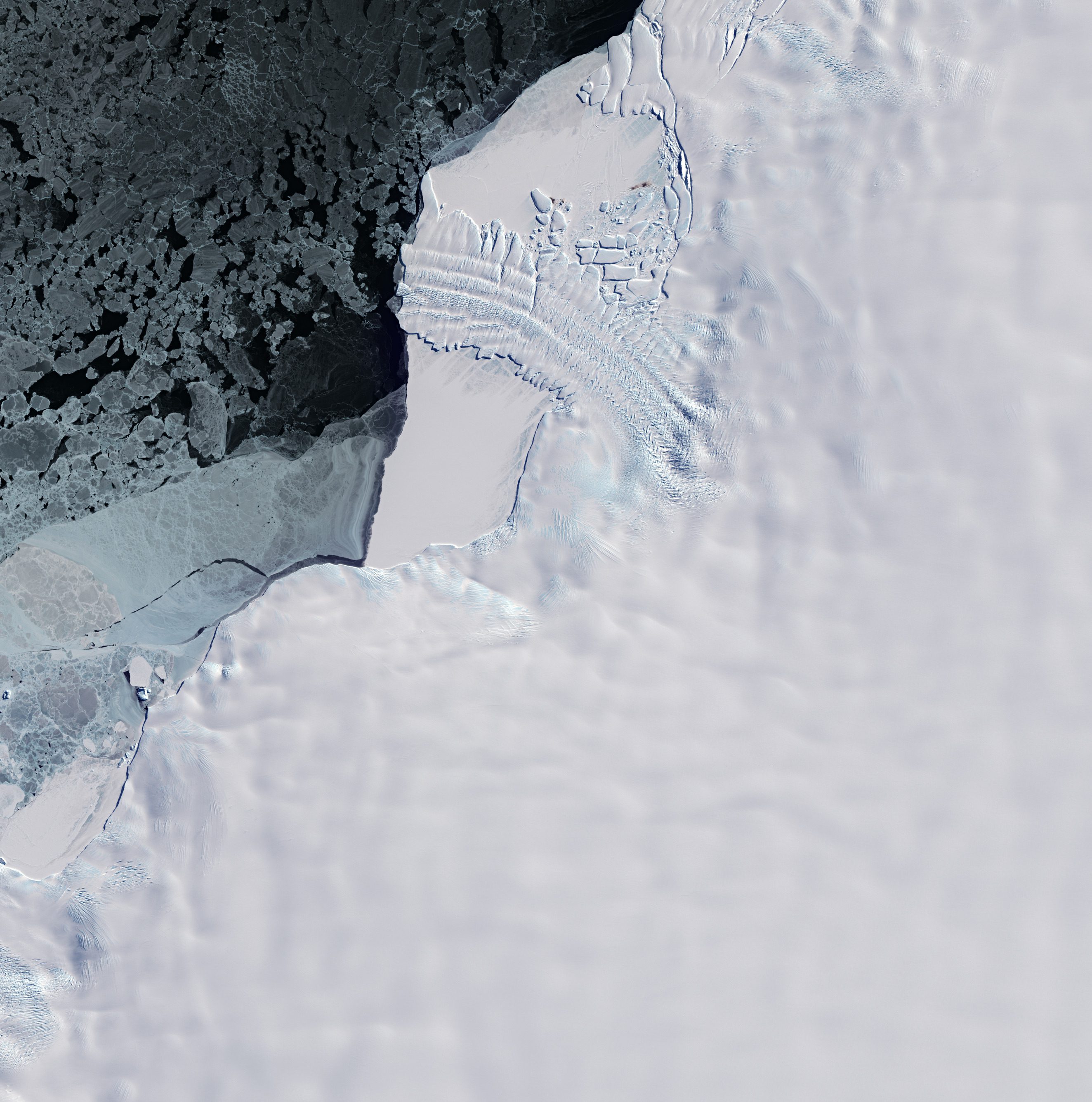 Dawson-Lambton Glacier Home to Penguins 