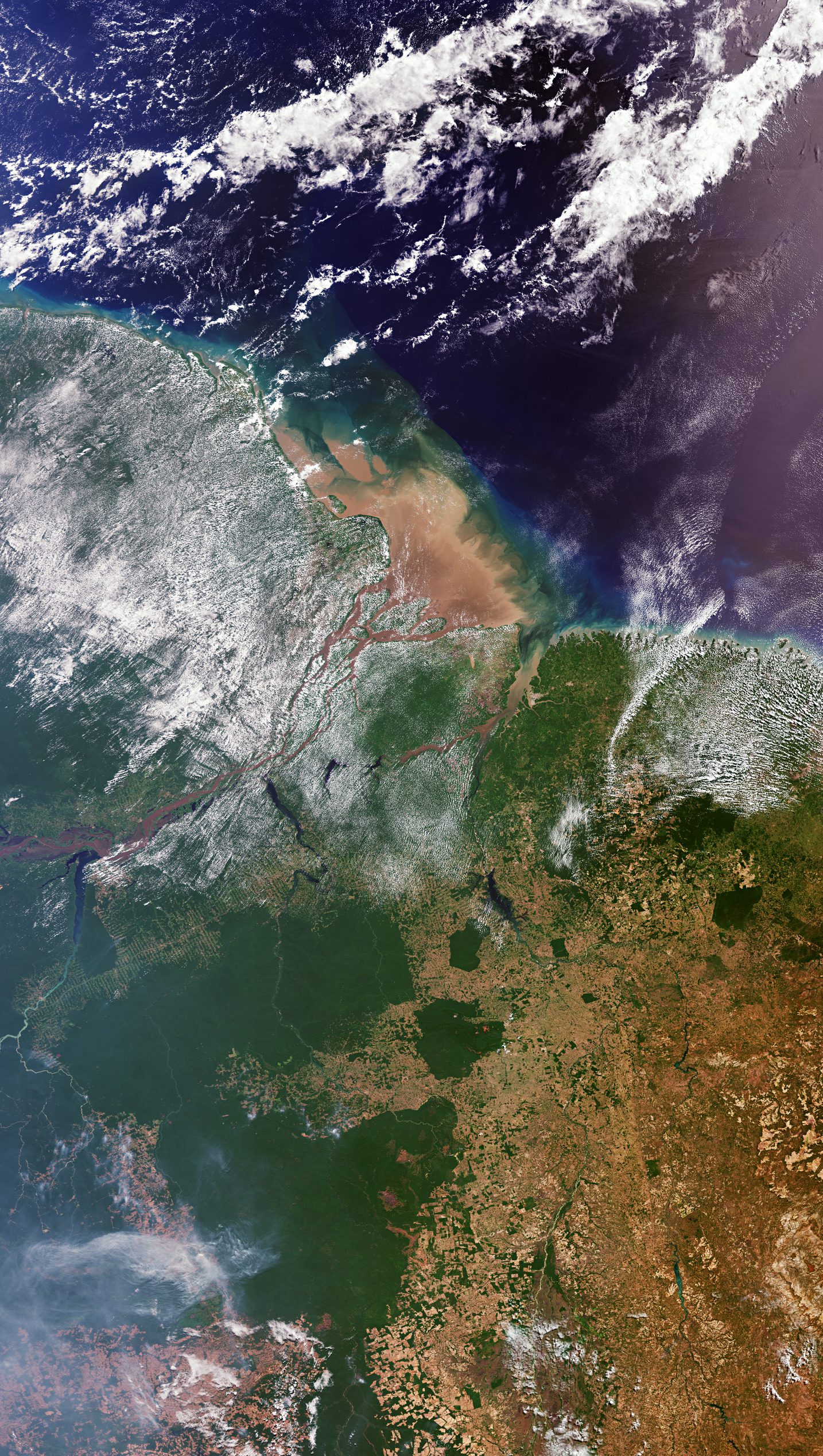 The Amazon Plume