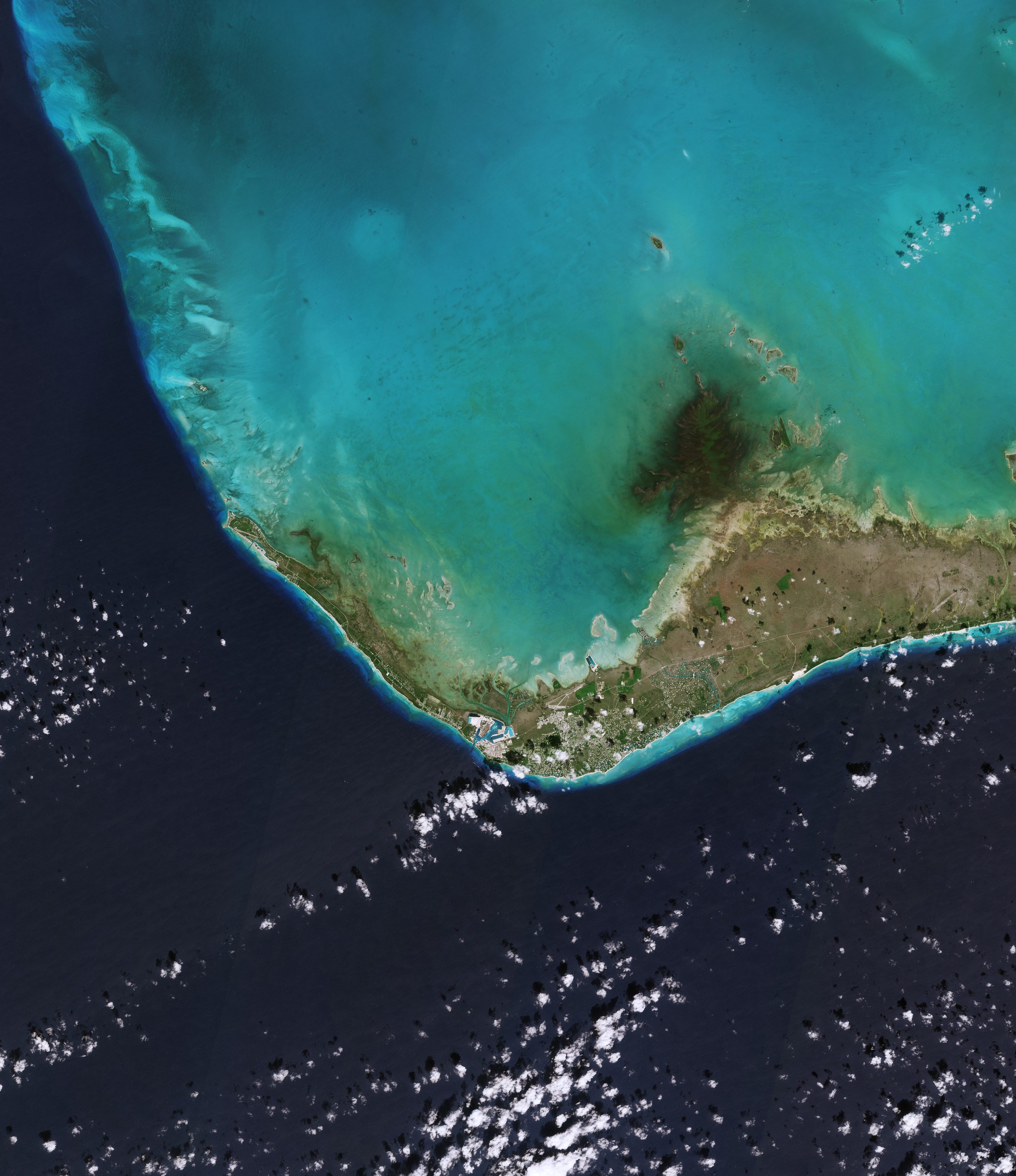 Grand Bahama Island 