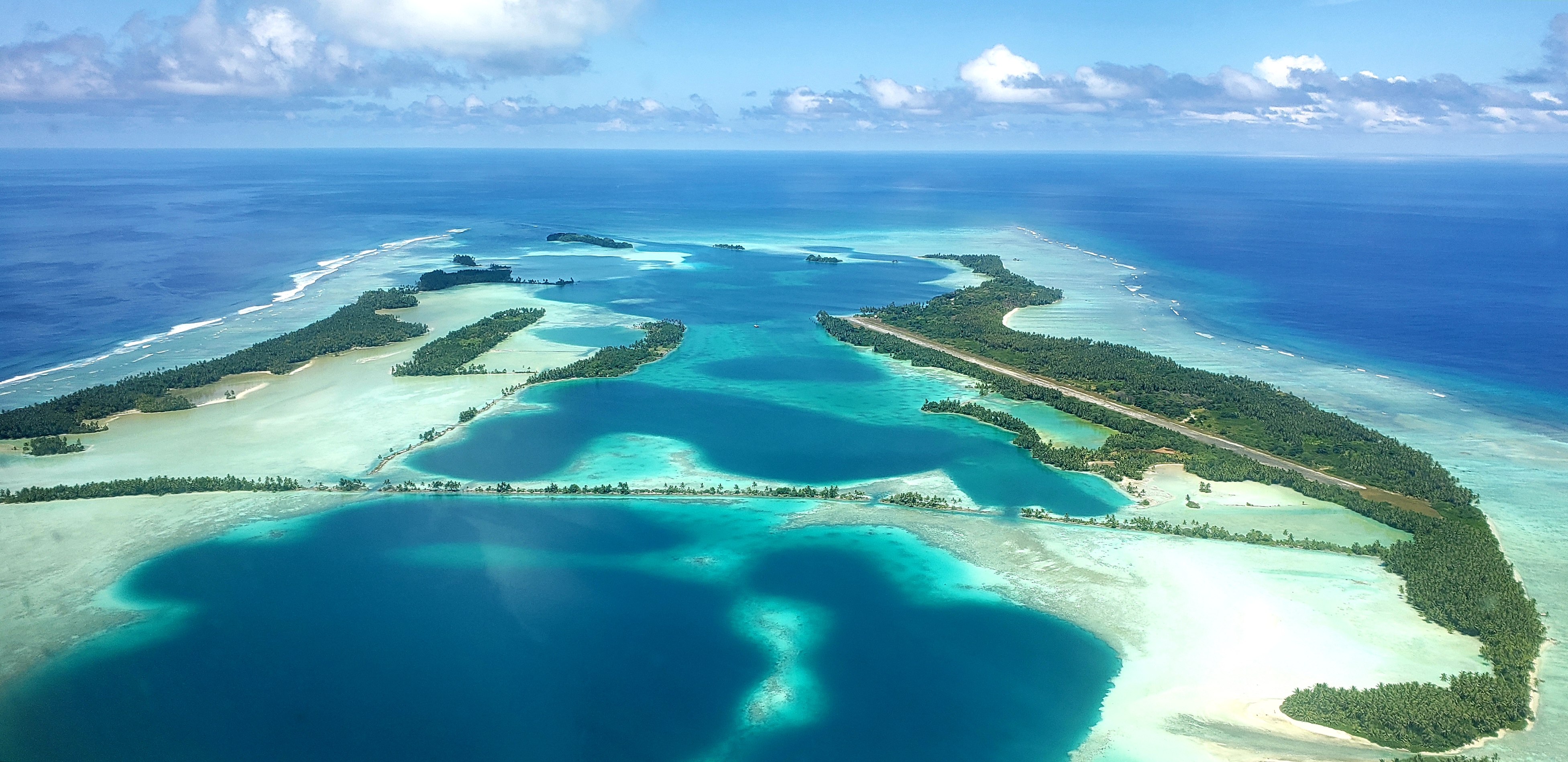 Satellites Study Ocean Wildlife 