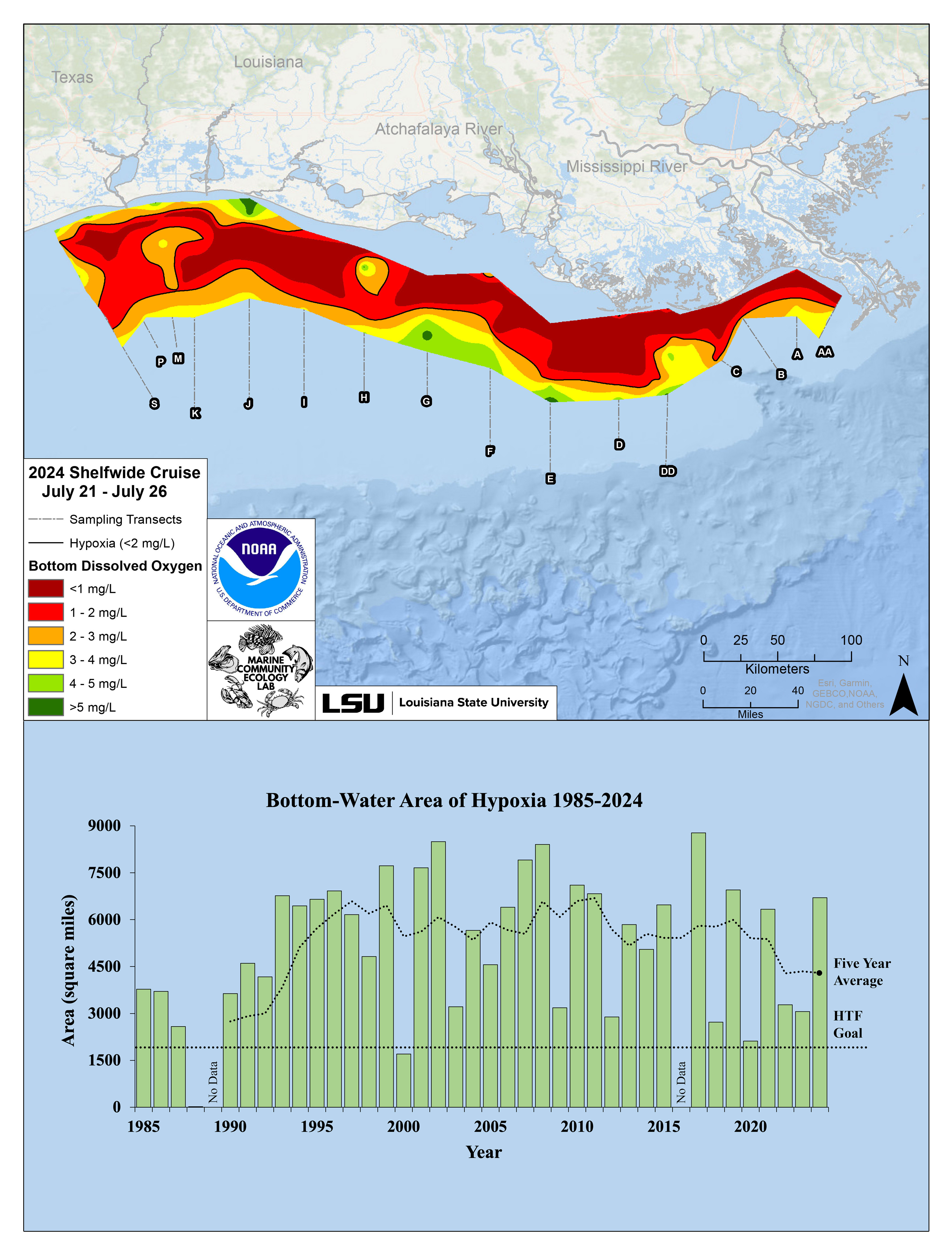 Gulf of Mexico ‘Dead Zone’ Larger than Average, Scientists Find