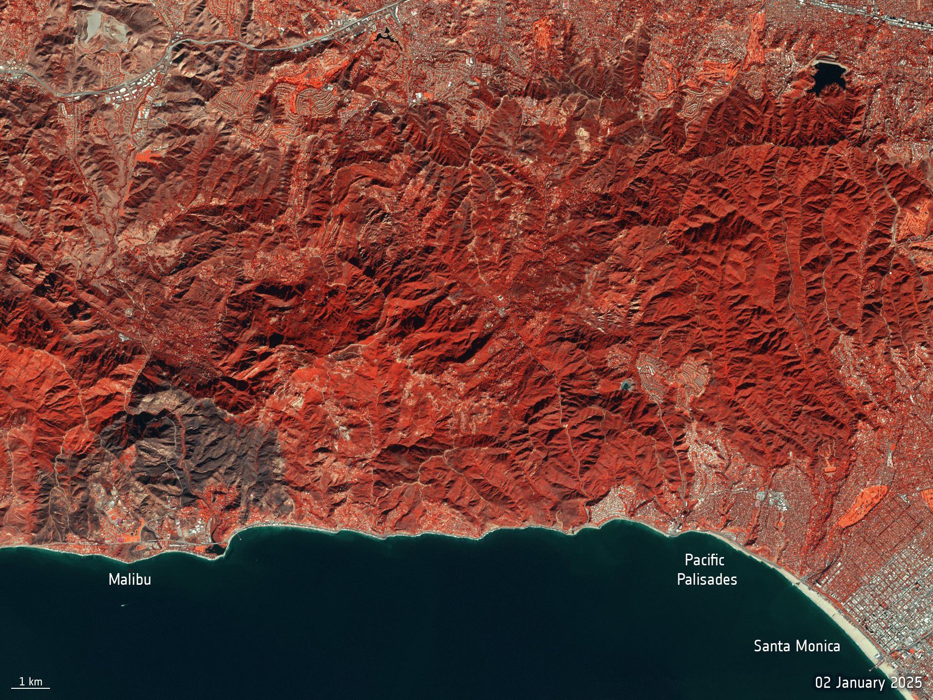 Animation Shows Land Burned by Palisades Wildfire 