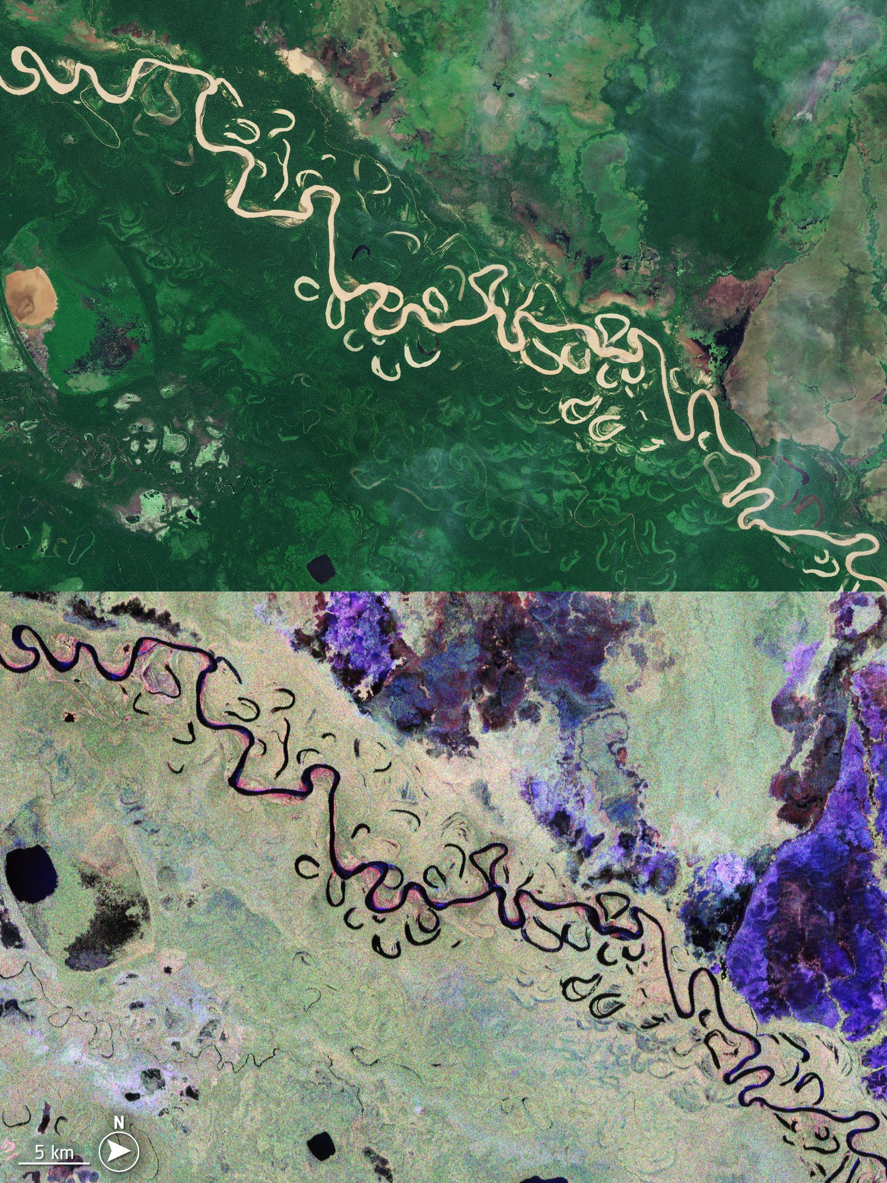 Bolivian Forest: Comparing Sentinel-2 and Biomass 