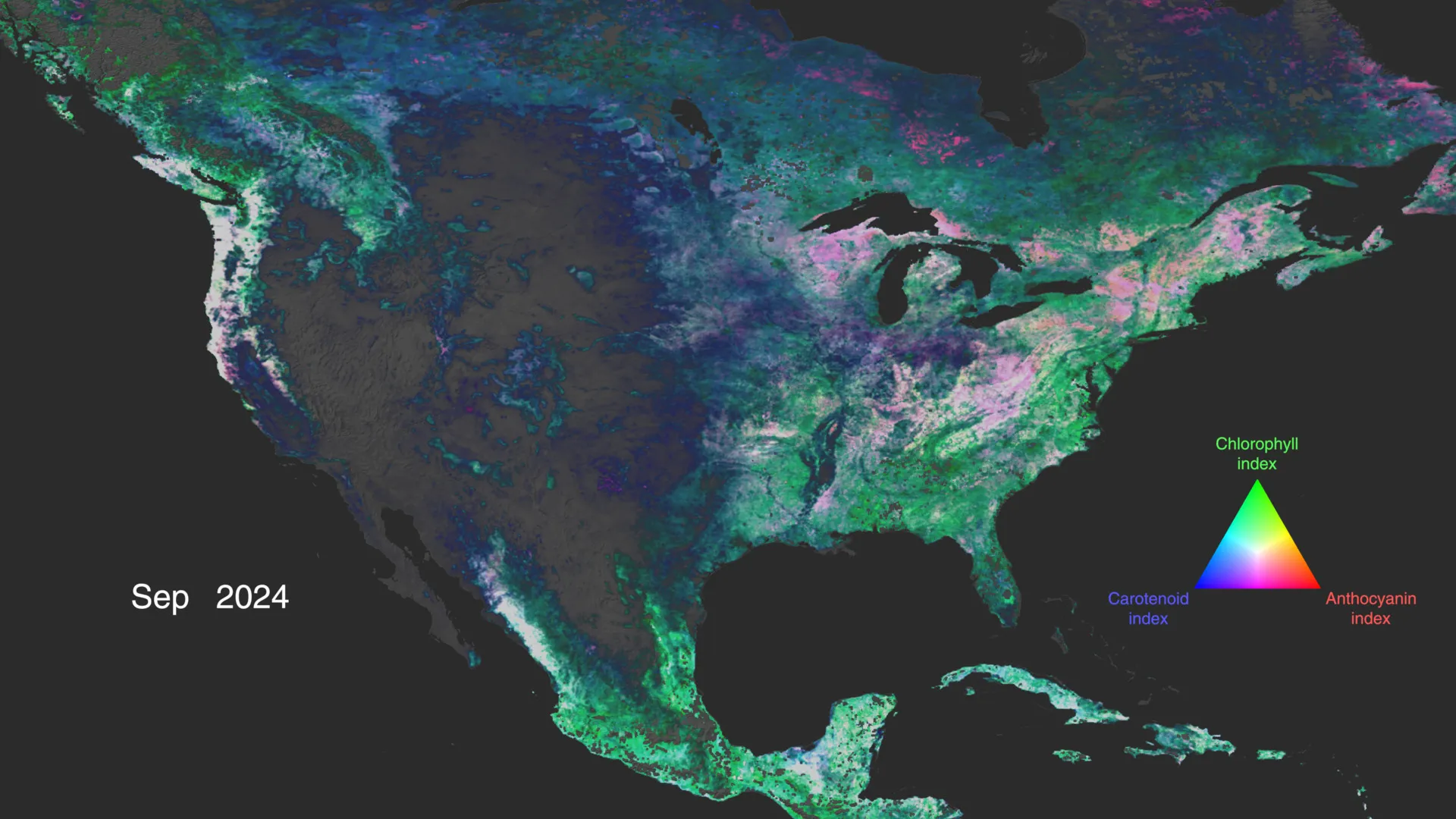 NASA’s PACE Mission Reveals a Year of Terrestrial Data on Plant Health 