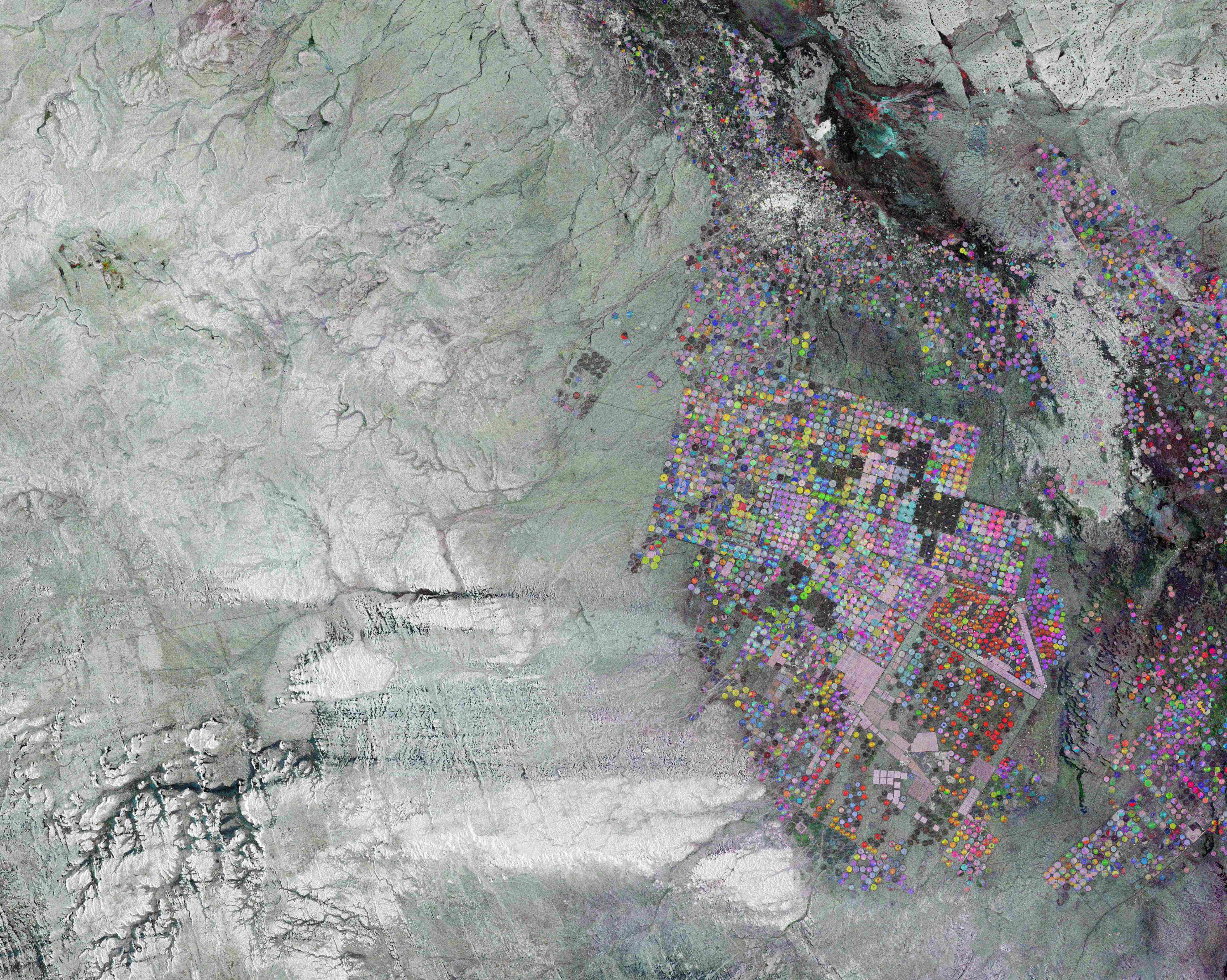 Earth from Space: Circles in the Desert 