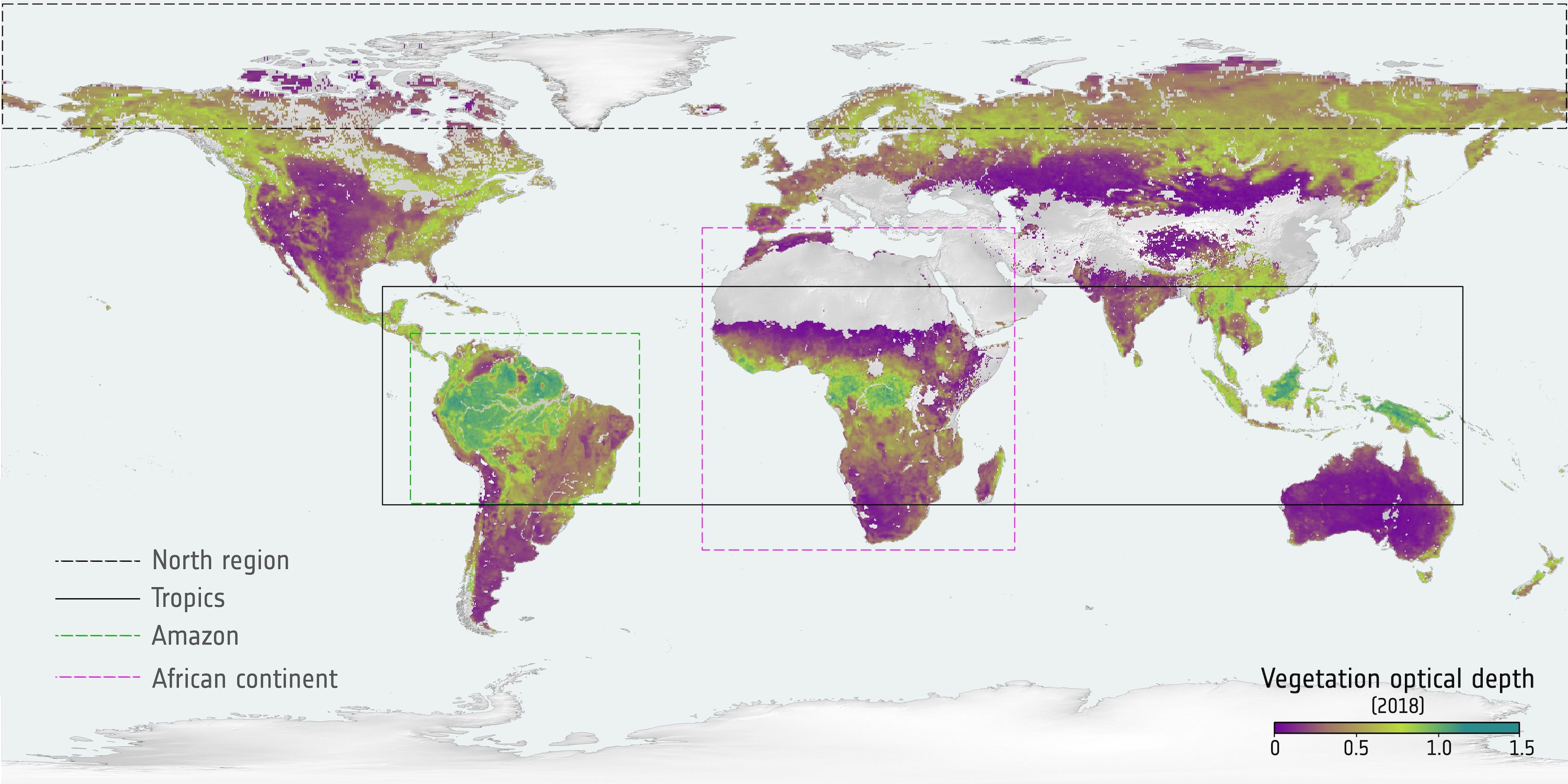 SMOS Adds Long-Term View on Carbon Stored in Forests 