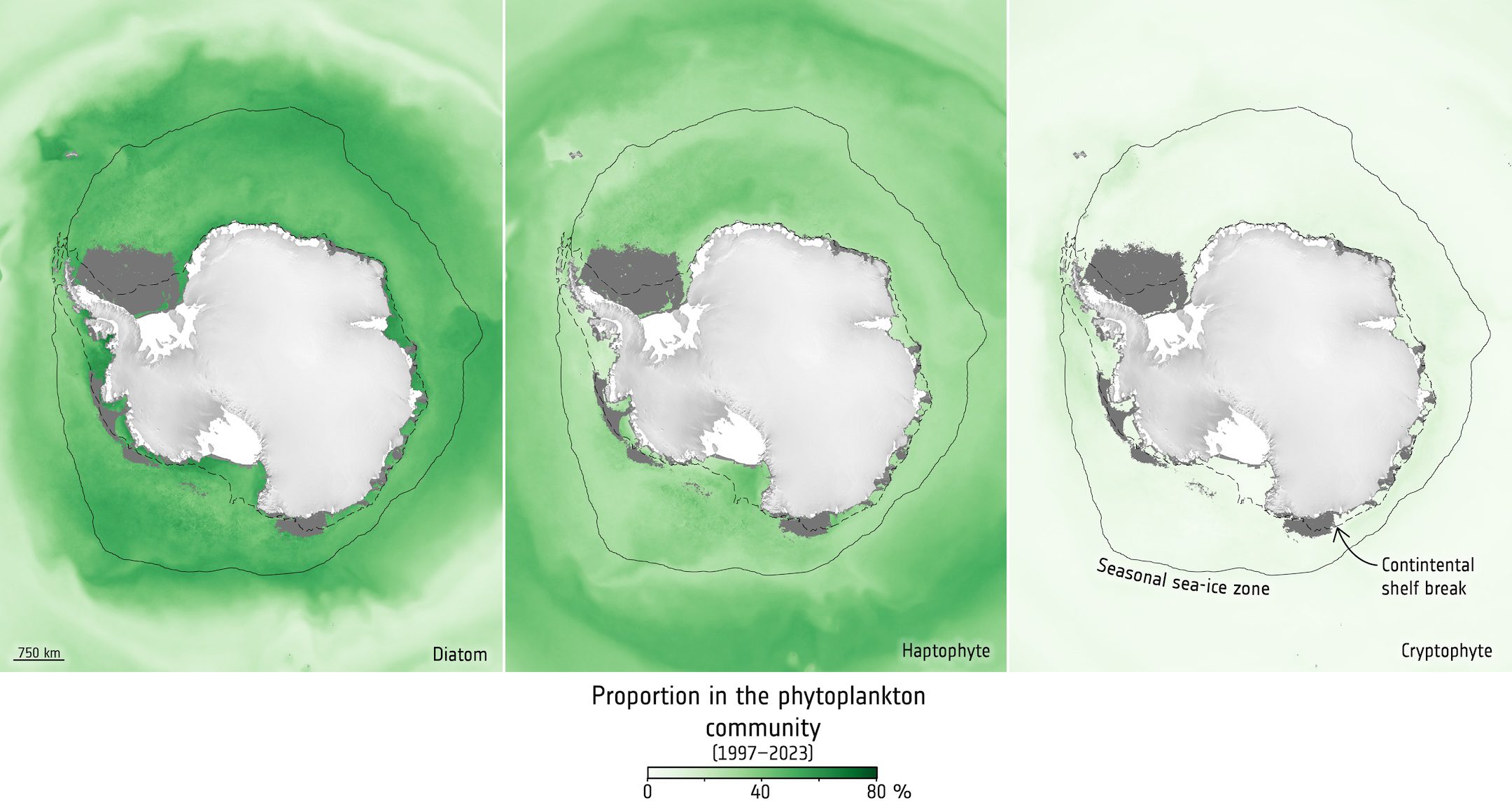 Tracking the Climate-Driven Shift in Antarctic Plankton From Space 