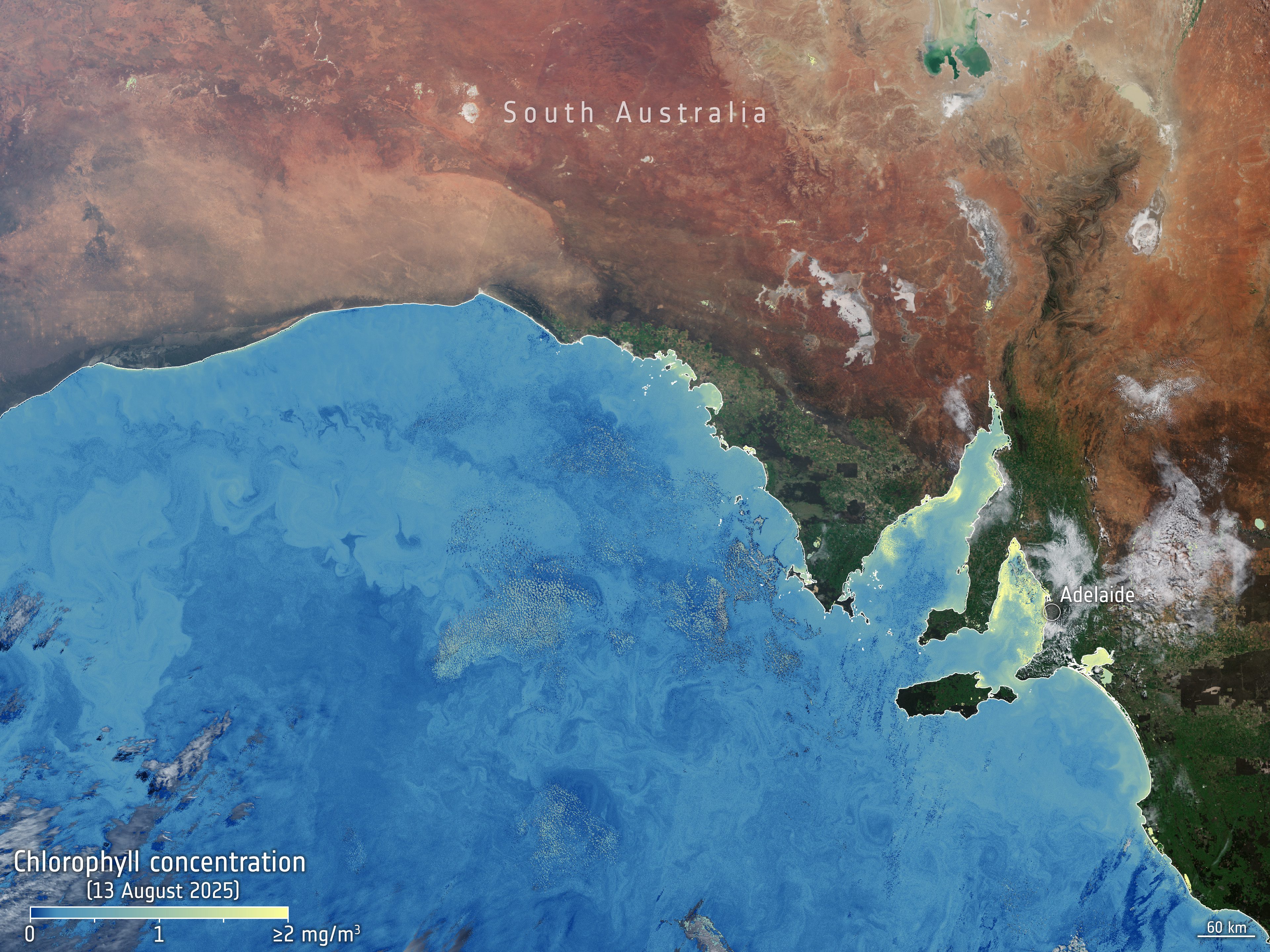 Algae Bloom of Chlorophyll In South Australia 
