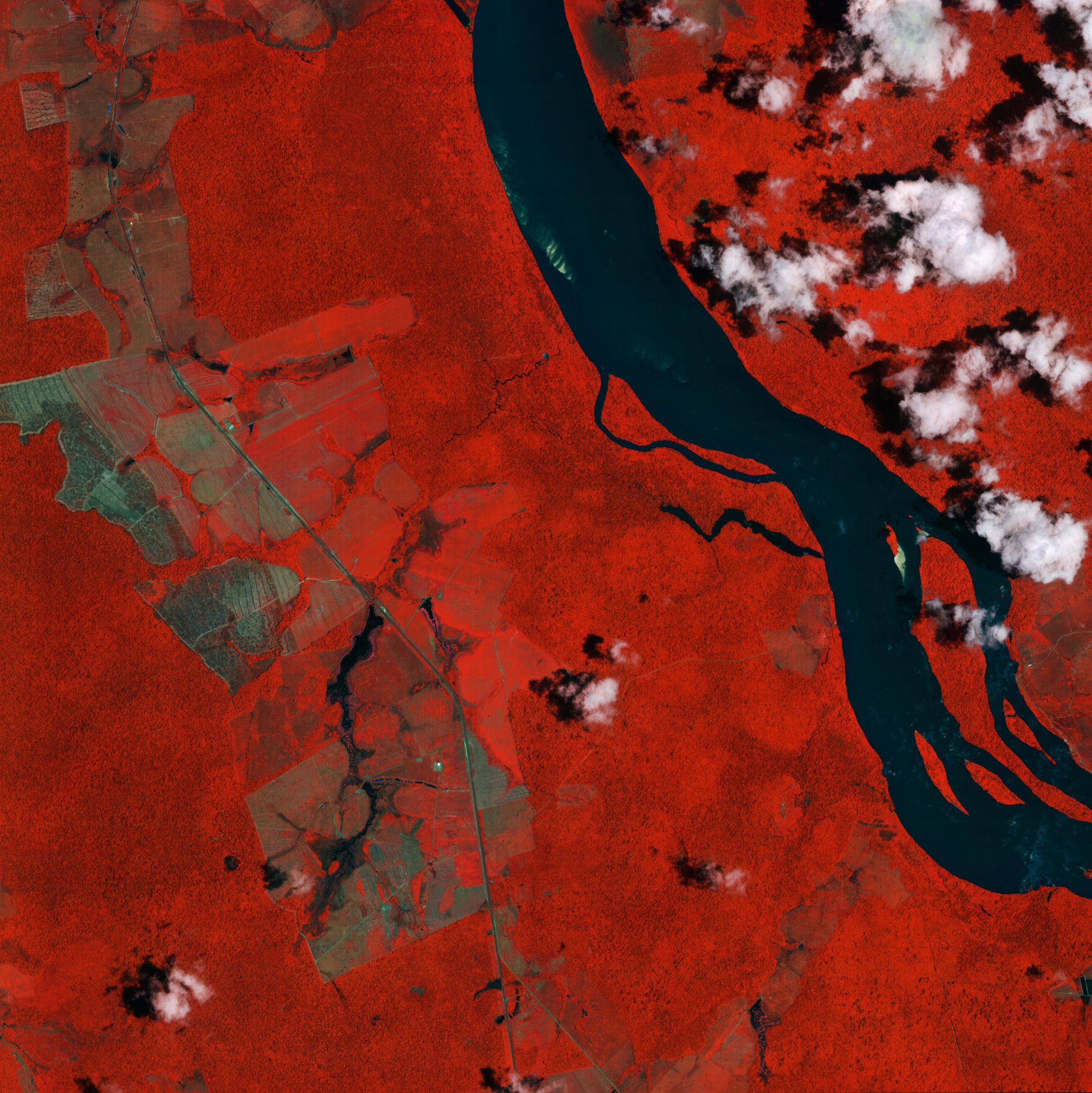 Earth from Space: Branco River, Brazil 