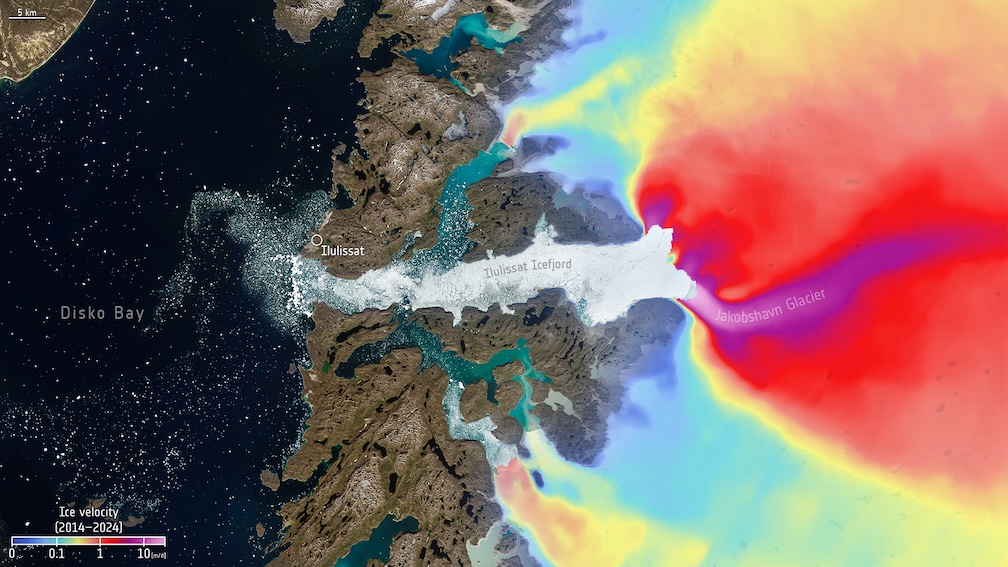 Ice Velocity on Jakobshavn Glacier in Greenland, 2014–2024 