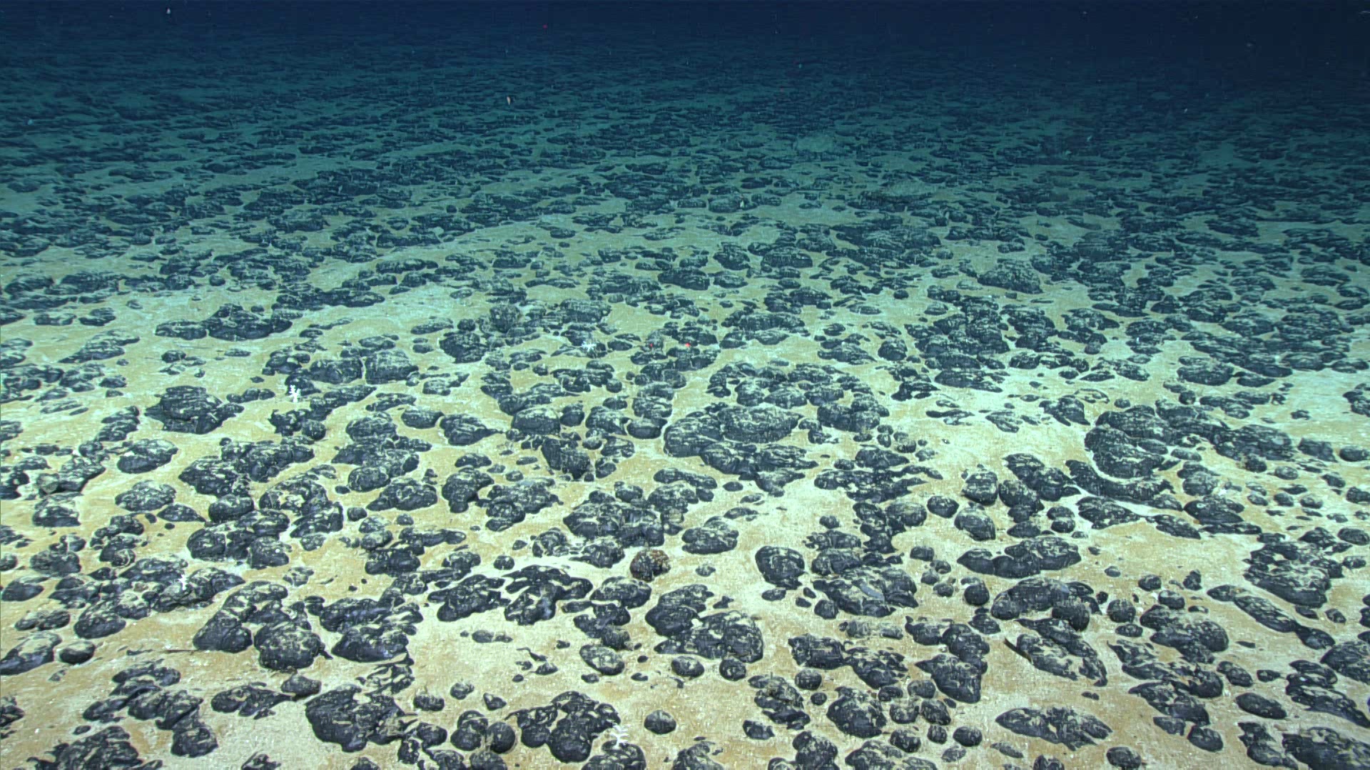 NOAA To Map Critical Mineral Deposits in Deep Waters off American Samoa 