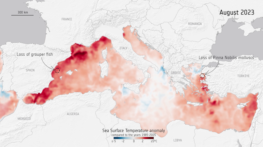 Mediterranean Sea Heatwaves 