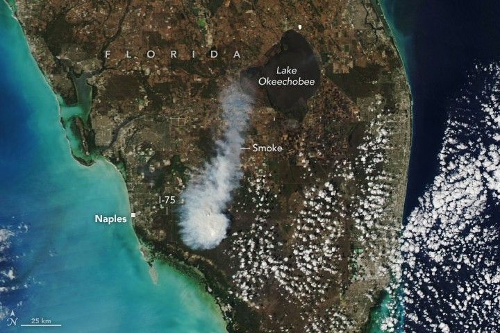 Smoke Rises Over Big Cypress National Preserve 