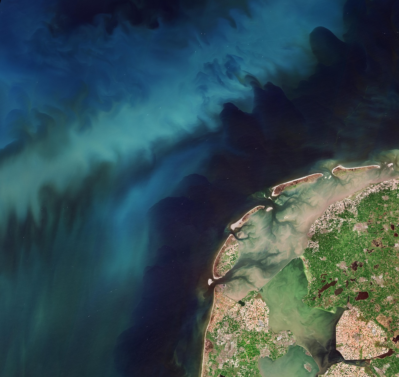 Netherlands in Bloom