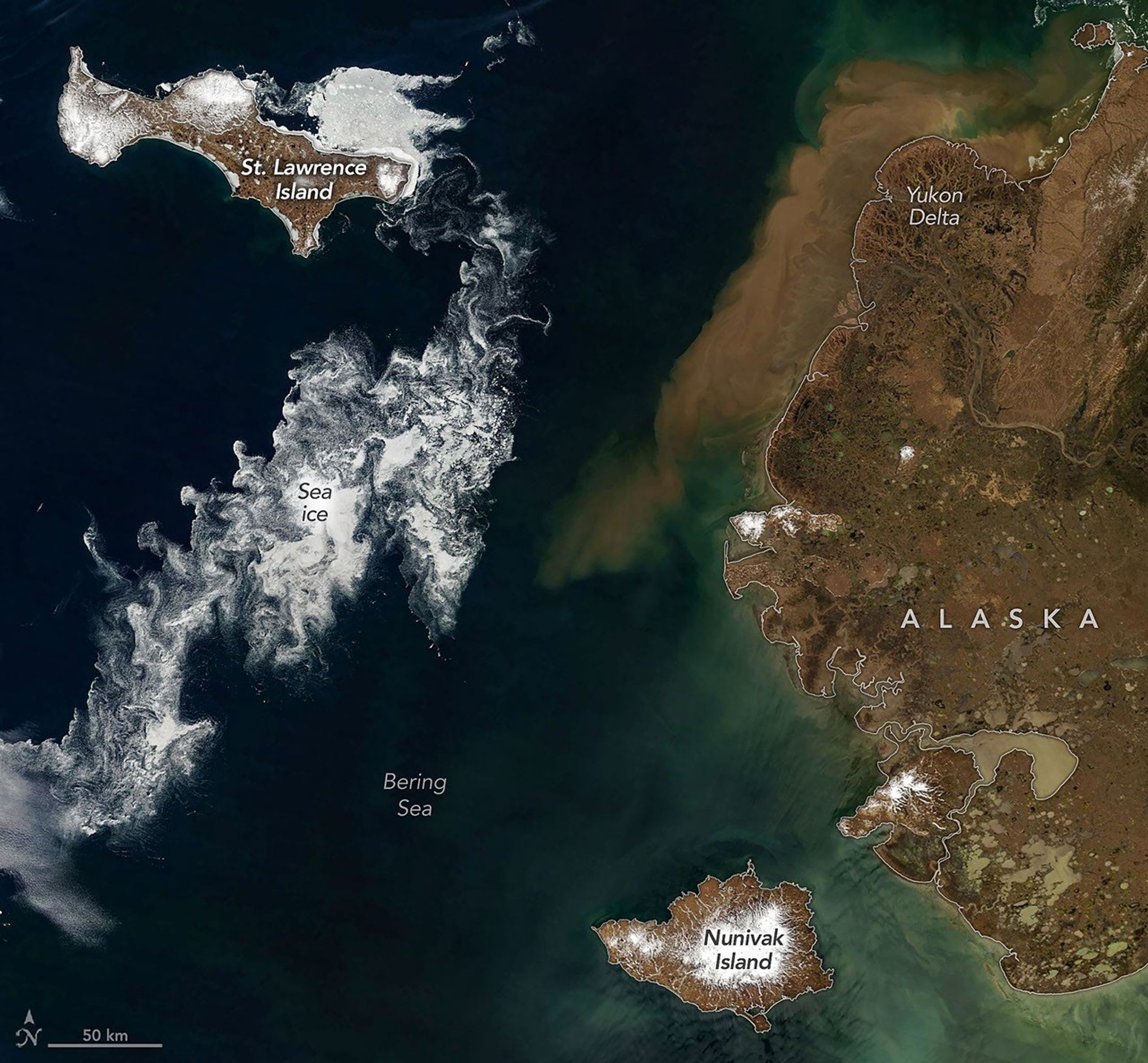 Signs of Thaw in Bering Sea 