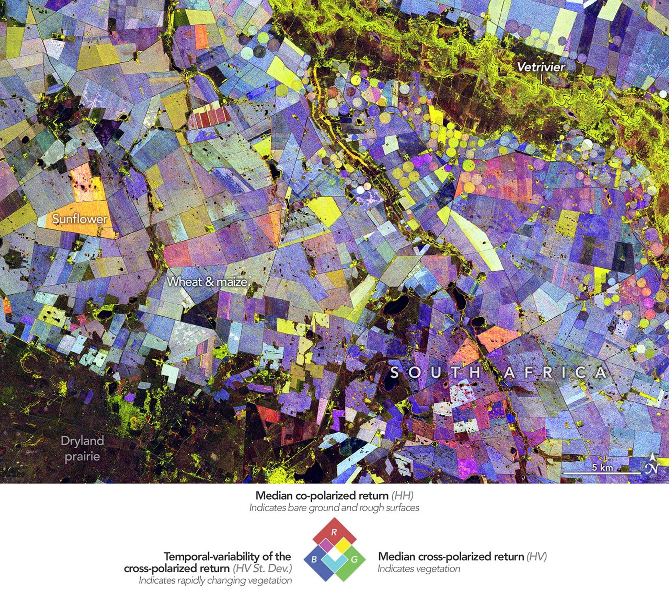 Painting the Growing Season in the Maize Triangle 