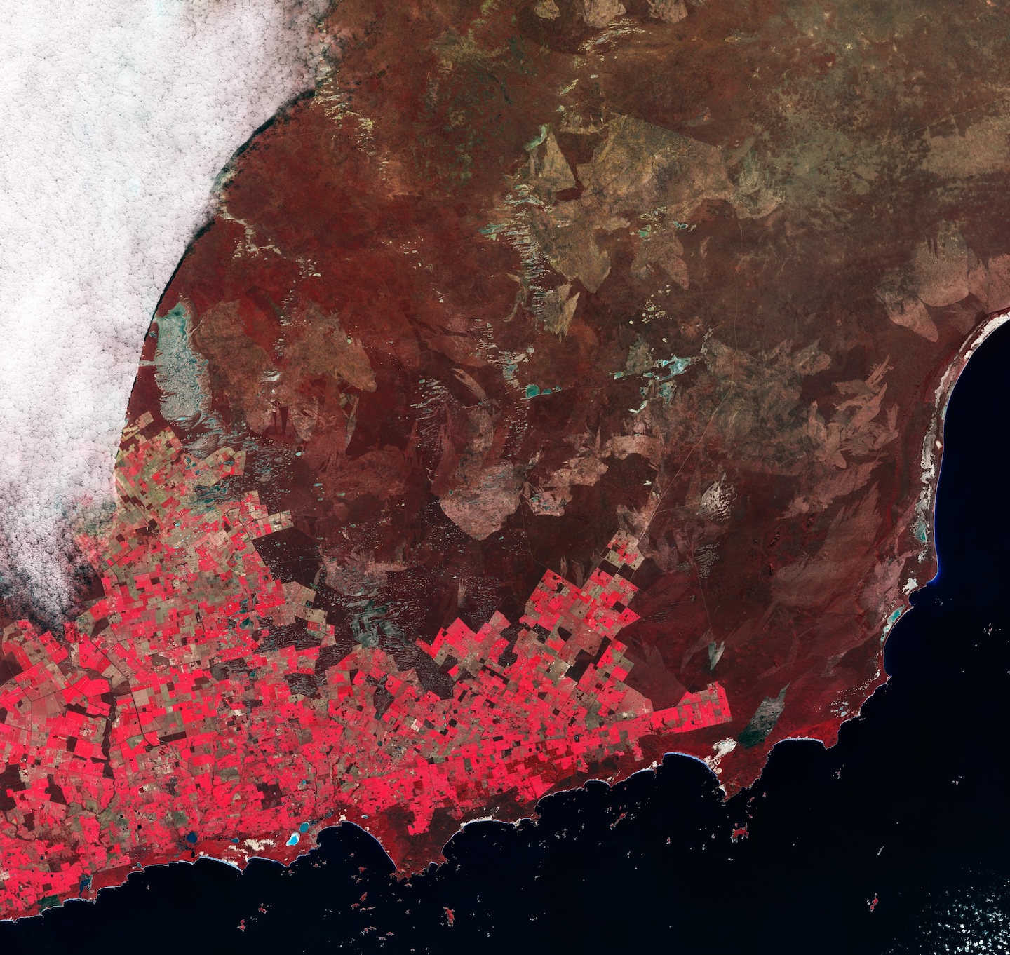 Satellite Image Reveals Western Australia’s Agricultural Patchwork 