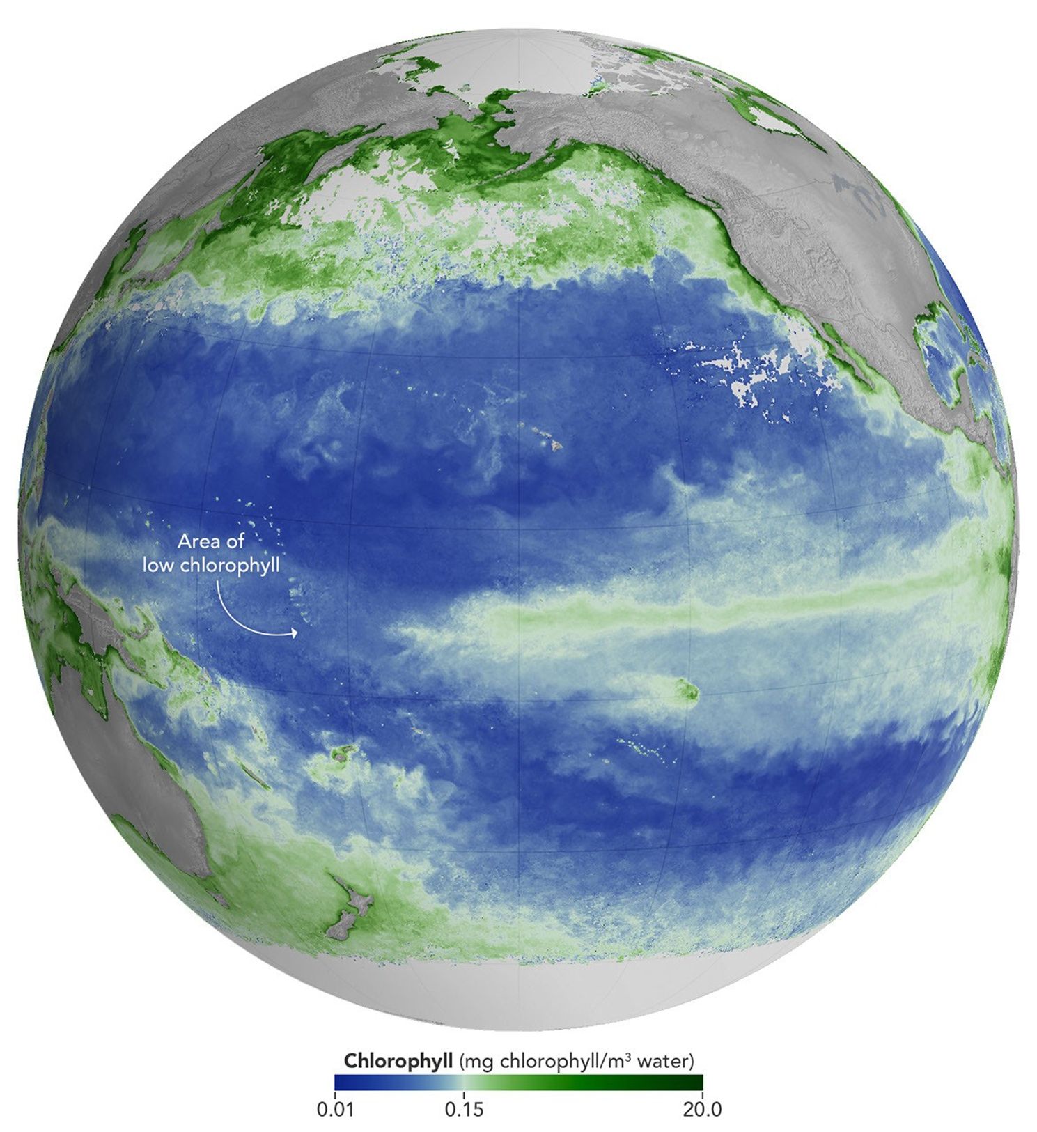 El Niño Alters Marine Life in the Pacific 